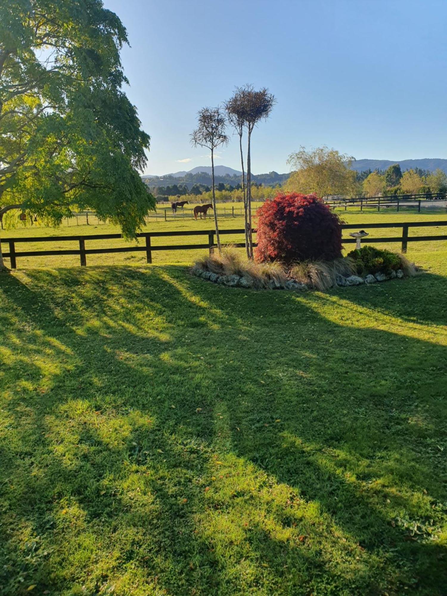 Mangaroa, Farmstay هوت العليا المظهر الخارجي الصورة